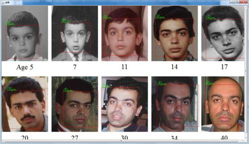 基于OpenCV 4.2與Java的靜態圖片人臉識別系統